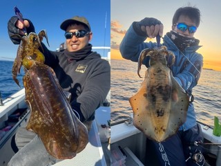 【釣果速報】千葉県赤沼丸でアオリイカをキャッチ！連チャンやダブルヒットあり！冬の絶品アオリイカを自分の手で釣り上げてみませんか？