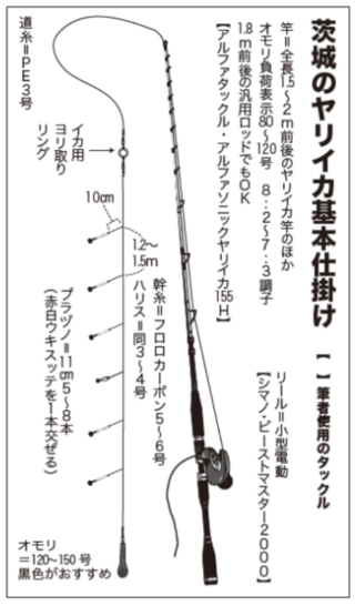 茨城のヤリイカ基本仕掛け