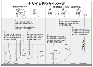 ヤリイカ釣り方イメージ