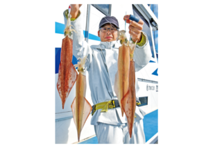 鹿島沖のヤリイカ開幕良型主体で好スタート