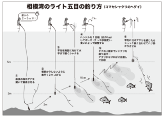 相模湾のライト五目の釣り方（コマセシャクリのヘダイ）