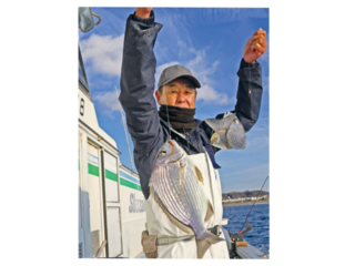 ライト五目は四季の釣り！今は激うまヘダイが面白い