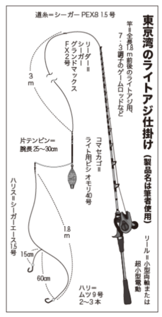 東京湾のライトアジ仕掛け