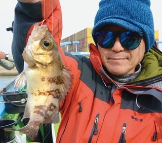 東京湾に春を告げる風物詩 出足良好！ エビメバル開幕