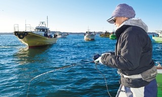 今こそめちゃウマ！ 東京湾の極上タチウオ