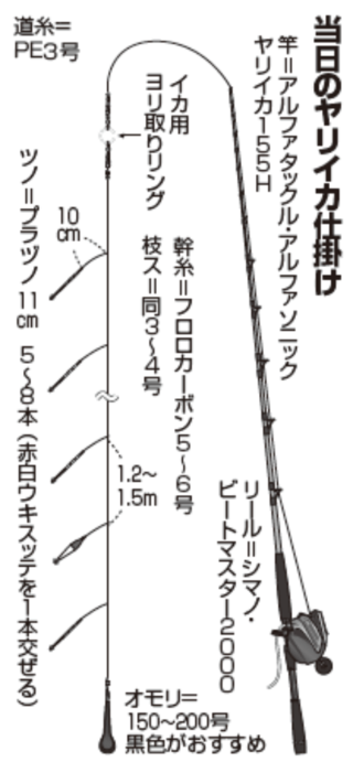 当日のヤリイカ仕掛け