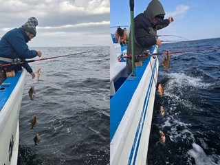 【釣果速報】福島県つりエサ豊漁でメバル60匹GET！尺超えメバルもGET！メバルの習性を理解して尺サイズを釣り上げよう！