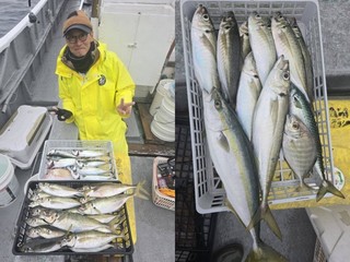 【釣果速報】静岡県魚磯丸でアジ入れ食い！サバ・マダイも！好調な今シーズン、自己最高記録を狙ってみませんか？