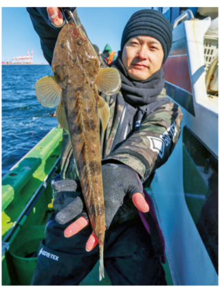 水温上昇でチャンス到来東京湾のマゴチ上昇気配
