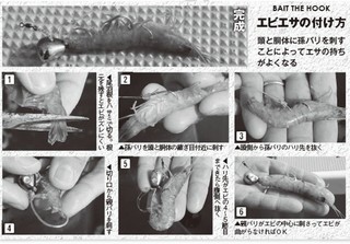 エサの付け方の写真