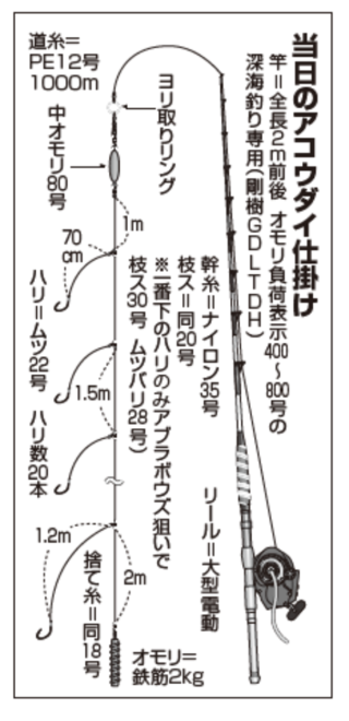 当日のアコウダイ仕掛け