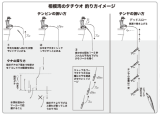 相模湾のタチウオ釣り方イメージ