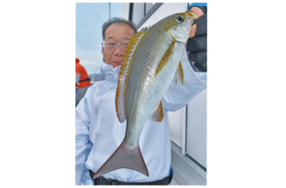 東伊豆に春がやってきた初島廻のイサキ開幕！