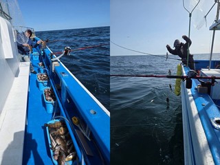 【釣果速報】福島県つりエサ豊漁でメバルがバズる！トップは150枚！サイズも最大33cmと大型多数！数もサイズも記録更新したいなら今スグの乗船がおすすめ！