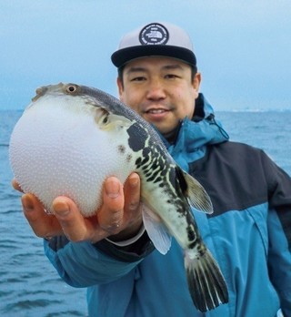 Xデーへのカウントダウン 東京湾のトラフグ拡大中！