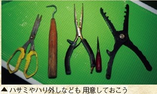 アイテムの写真