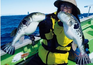 ［動画で見る沖釣り教室・忍塾THE・ムービー（第58回）］東京湾のトラフグ　2024Ｘデー第一弾