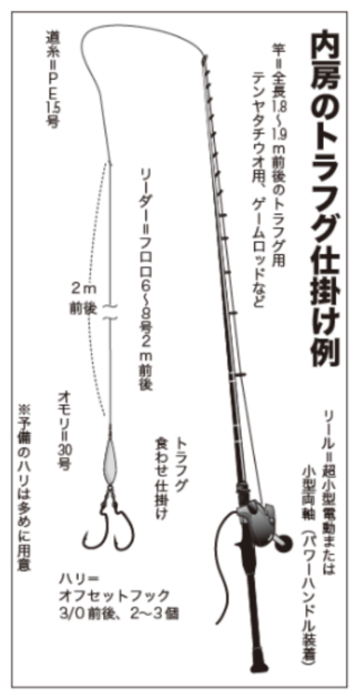 富浦沖に乗っ込み良型来襲トラフグを釣るなら今！