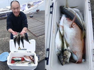 【釣果速報】静岡県SHINSEIMARUでマアジ同時ヒット＆連発の大フィーバー！40cmオーバーの良型もじゃんじゃん釣れてます！