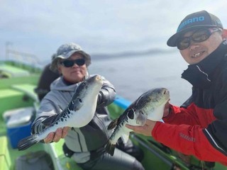 【釣果速報】千葉県利八丸でトラフグGET！最大3.20kg！絶品フグを狙いに行ってみませんか！