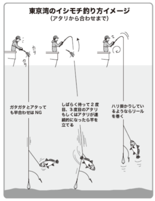東京湾のイシモチ釣り方イメージ