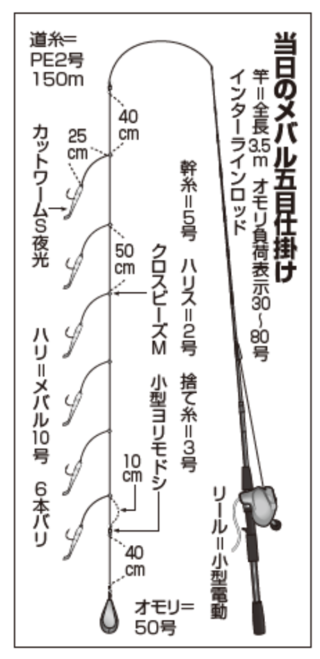 当日のメバル五目仕掛け