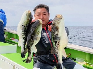 【釣果速報】千葉県利八丸でトラフグが絶好調！5.00kgのジャンボサイズも上がってます！