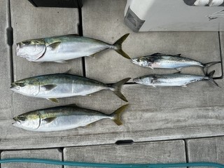 釣果