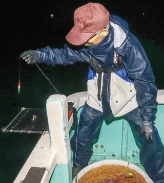 ファン待望の好シーズン 沼津沖の夜ムギイカ好発進