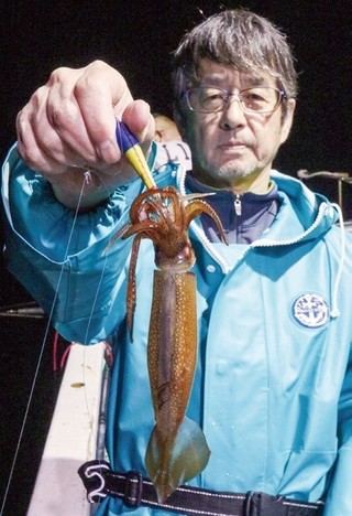 ファン待望の好シーズン 沼津沖の夜ムギイカ好発進