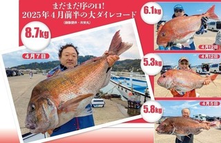 魚の写真