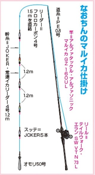仕掛けの図
