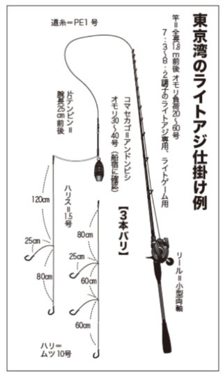 東京湾のライトアジ仕掛け例