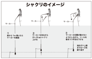 シャクリのイメージ