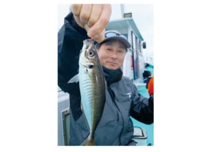 中アジ主体でバリバリ釣れる木更津沖のライトアジ盛況！