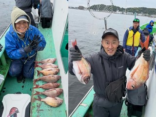 【釣果速報】神奈川県網屋丸で良型マダイゲット達成！1.50kgのおいしいサイズも登場！ゴールデンウイークはマダイ釣行に挑戦しませんか？