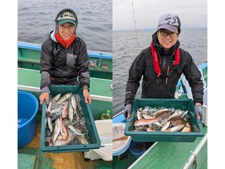 【釣果速報】神奈川県ゆうせい丸でアマダイ・アジがテンポ良く上がる！船長がこれから乗船する人にアドバイスを伝授！爆釣したい方は必見！