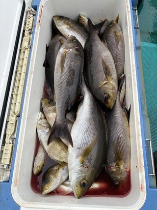 釣果