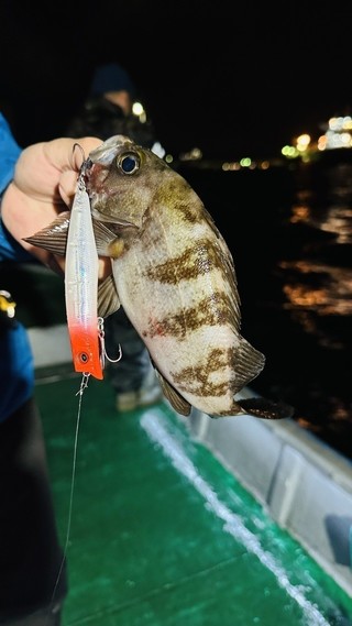 釣果