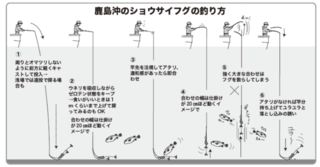 鹿島沖のショウサイフグの釣り方