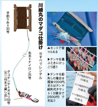 仕掛けの写真
