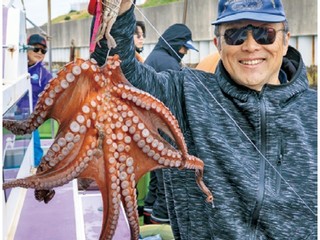 今年も始まるマダコの季節　富津解禁日は大ダコ続出！