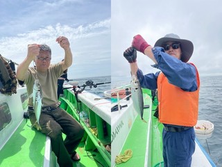 【釣果速報】神奈川県第三かりゆし丸でアジ満喫！TOP24匹！クーラーボックスを人気魚種でいっぱいにしよう！