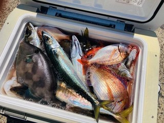 釣果