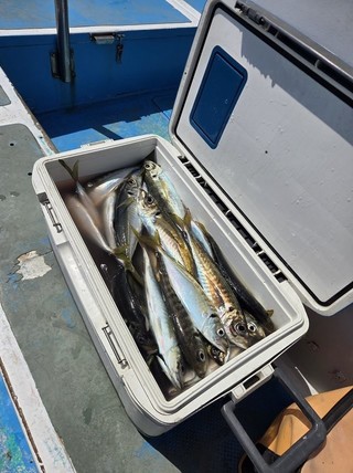 釣果