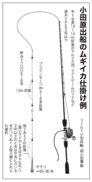小田原出船のムギイカ仕掛け例