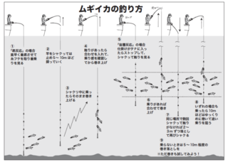 ムギイカの釣り方