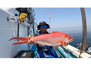 【釣果速報】2.00kgのオナガ獲ったどー！静岡県もき丸でクーラー超えの大物を手に入れよう！