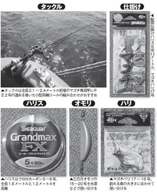 仕掛けの写真