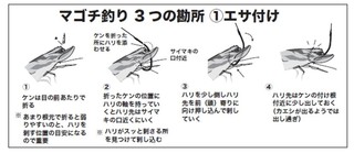 エサ付けの図